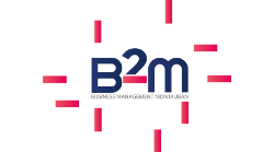B2M | Master Achats